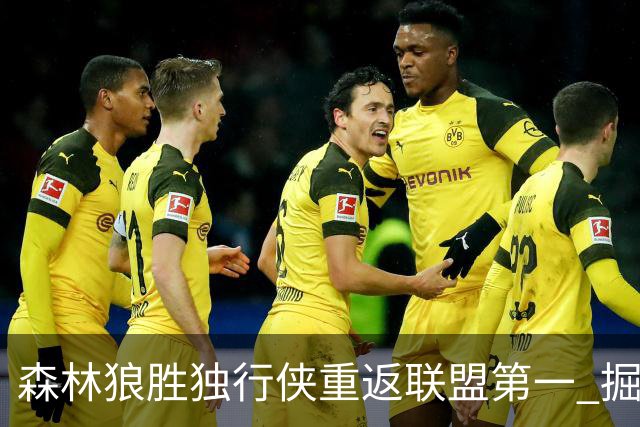 森林狼胜独行侠重返联盟第一 掘金胜篮网3连胜